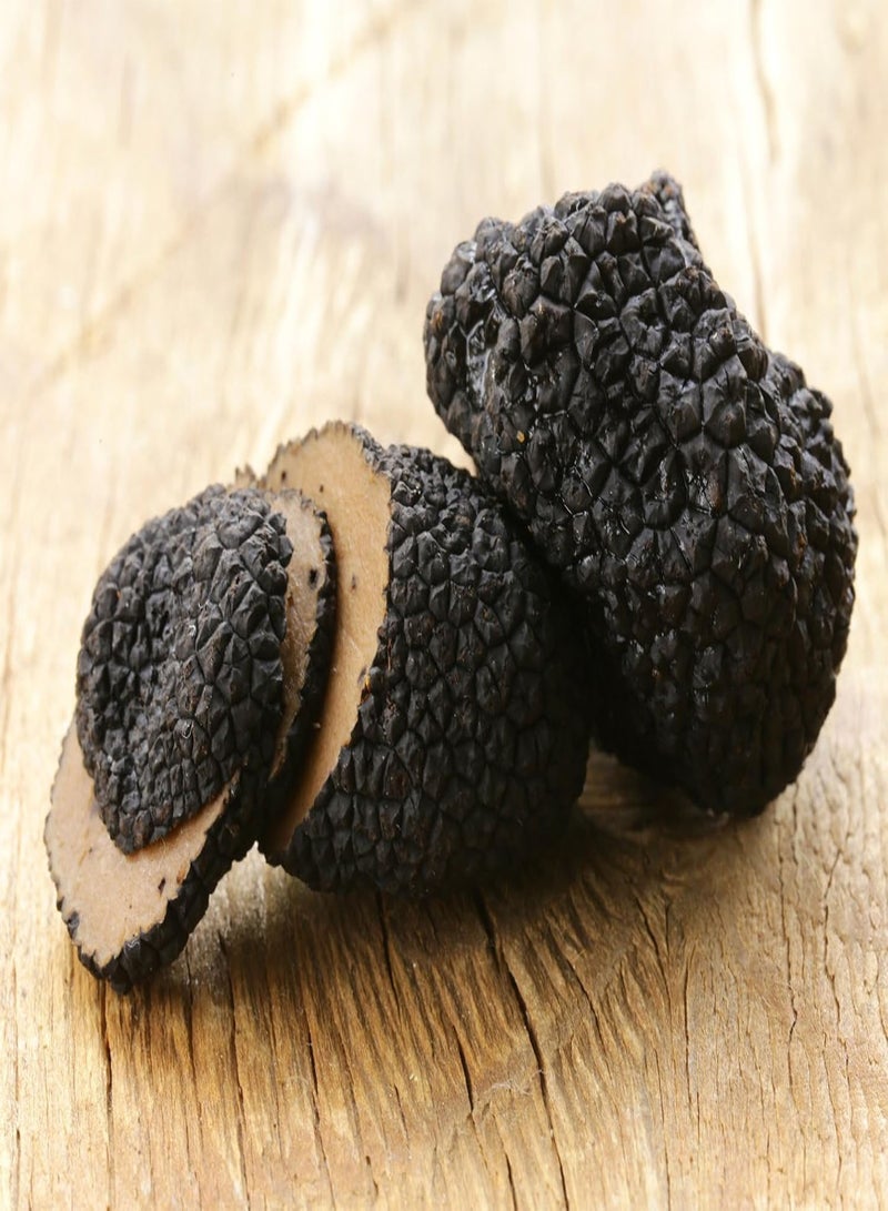 GGOOT Spores Black Truffle Mushrooms Mycelium Spawn Dried Seeds Kit for Planting Non GMO 0.25 g - Image 5