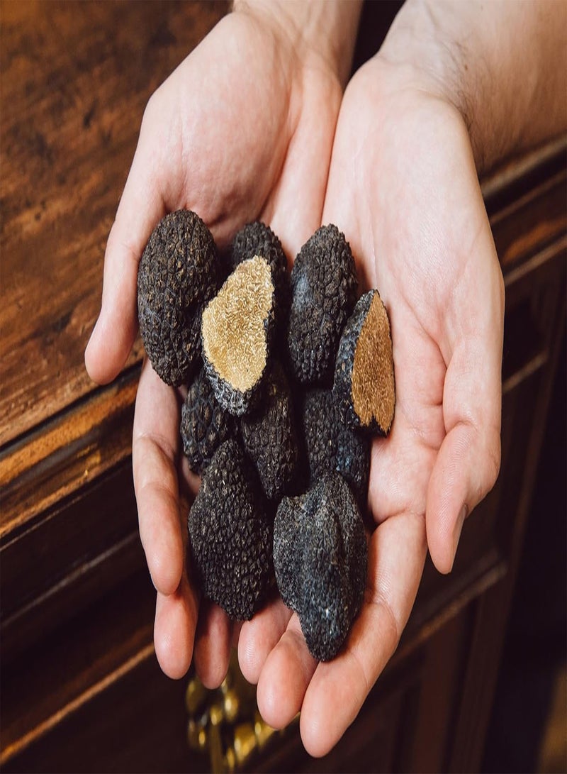 GGOOT Spores Black Truffle Mushrooms Mycelium Spawn Dried Seeds Kit for Planting Non GMO 0.25 g - Image 4