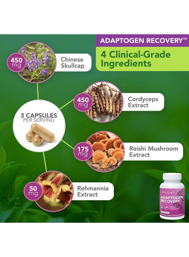 Vital Plan Immune Support Supplements by Dr. Bill Rawls - Immune Boost Bundle w/ Japanese Knotweed, Cat’s Claw, Chinese Skullcap & Reishi Mushroom - Image 5