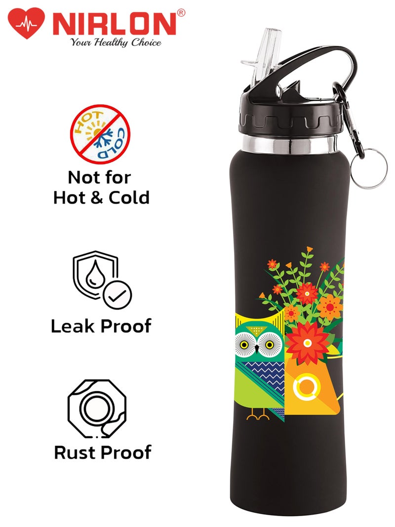 NIRLON Flip Bot Stainless Steel Rubber Finish Water Bottle With Straw Lid For Fridge, School,Gym,Home,Office,Boys, Girls, Kids, Leak Proof(Uv Printed Bottle|Floral Blue|Sipper Cap), 750 ML - Image 4