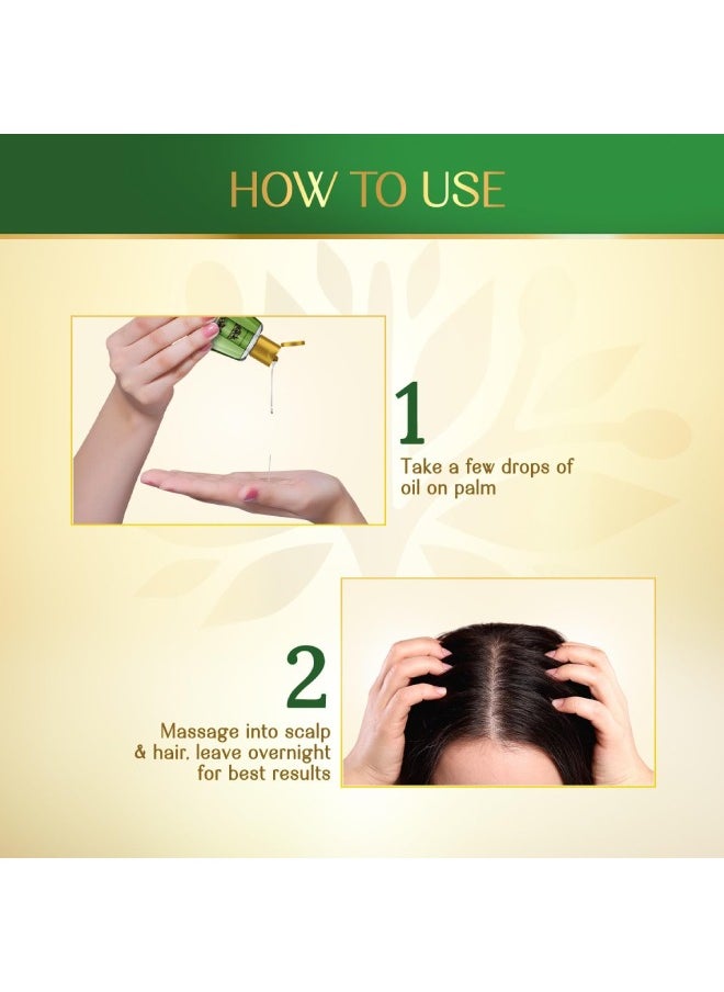 Herbsindia - Amla & 7 Seeds Hair Oil 180 ml - Image 1