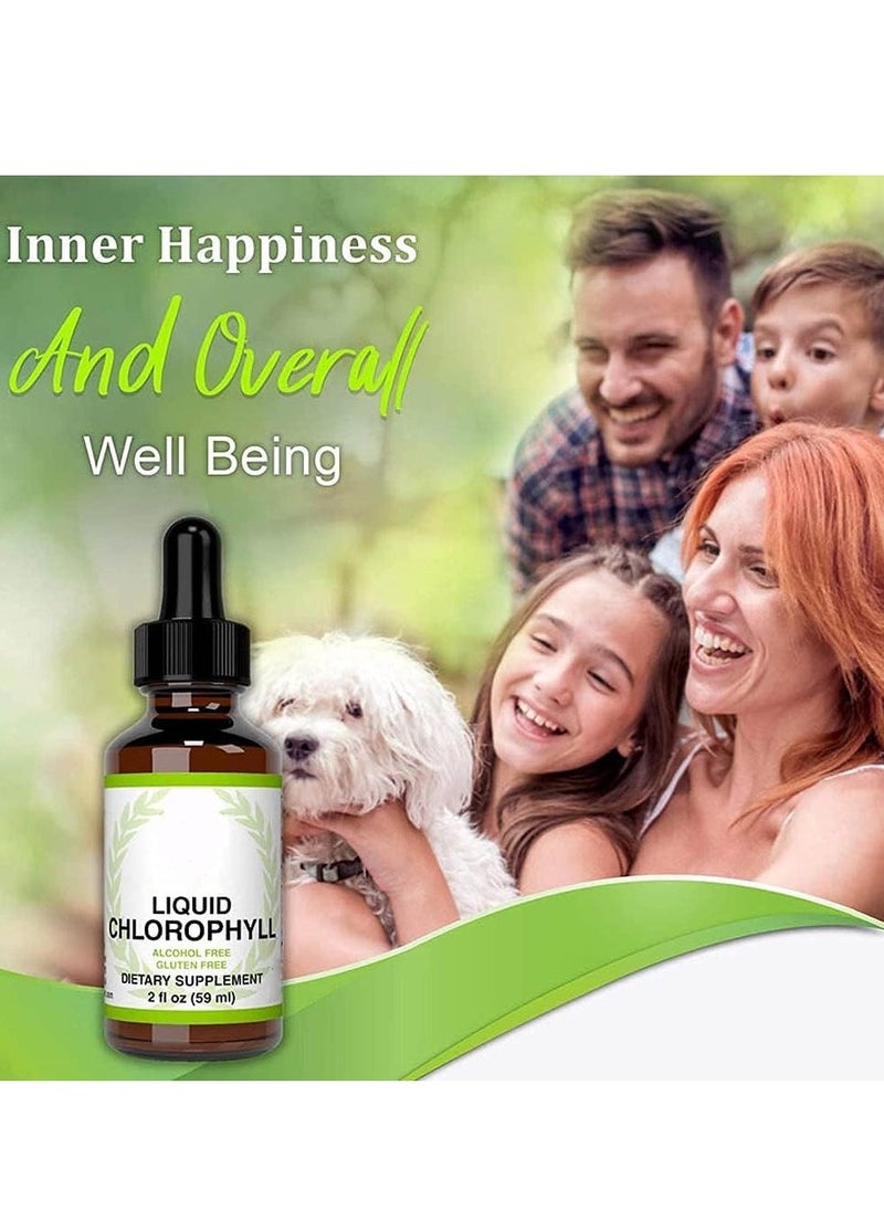 Wins Town 2 ounce Mint Flavor Chlorophyll Liquid Drops Alcohol & Gluten Free Liquid Chlorophyll Energy Supplement Natural Chlorophyll Deodorant Suitable for Adults Extra Strength, Effective Sleep Aid - Image 2