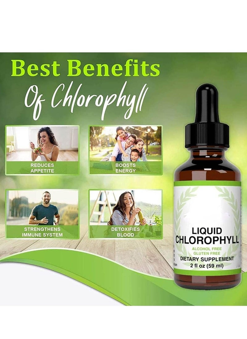Wins Town 2 ounce Mint Flavor Chlorophyll Liquid Drops Alcohol & Gluten Free Liquid Chlorophyll Energy Supplement Natural Chlorophyll Deodorant Suitable for Adults Extra Strength, Effective Sleep Aid - Image 3