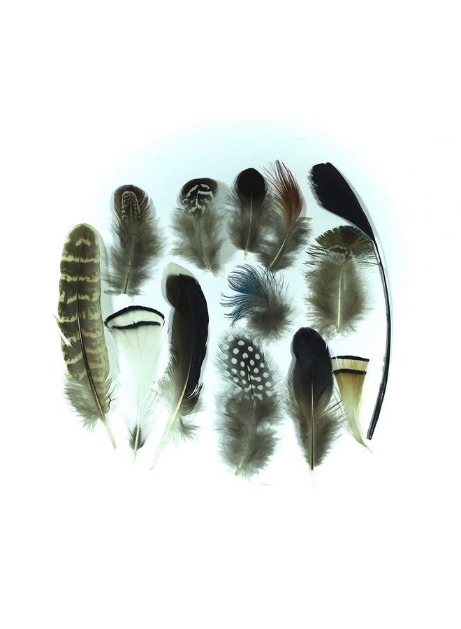 All In One 7 Gram Mixed Styles Assorted Mixed Feathers For Diy Craft (More Than 10 Styles) - Image 1