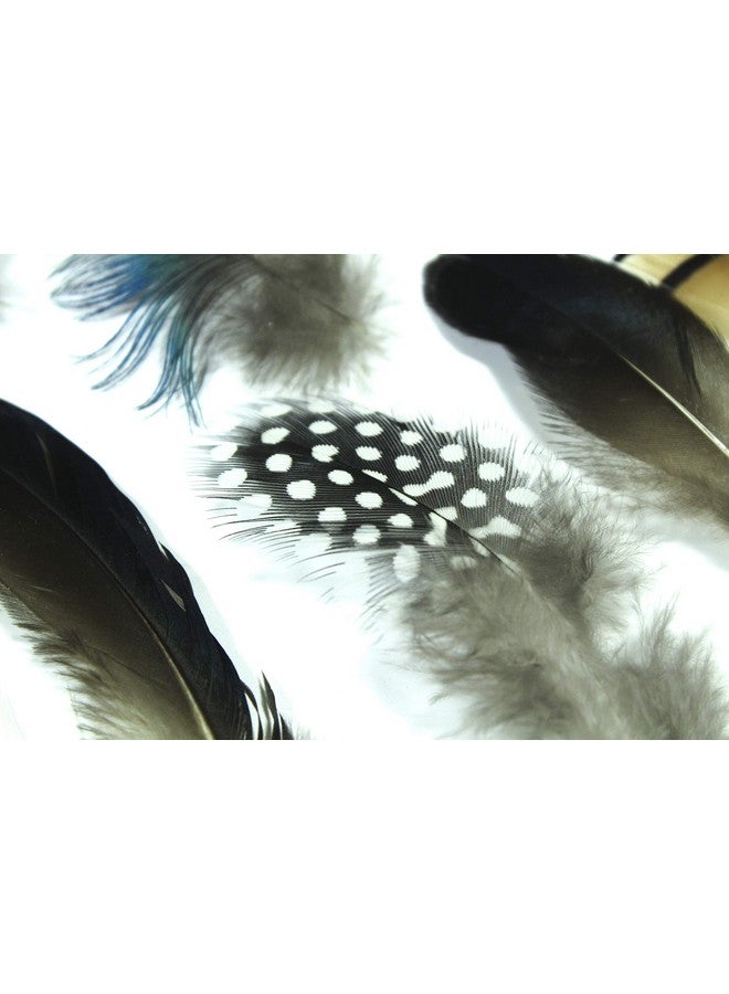 All In One 7 Gram Mixed Styles Assorted Mixed Feathers For Diy Craft (More Than 10 Styles) - Image 2