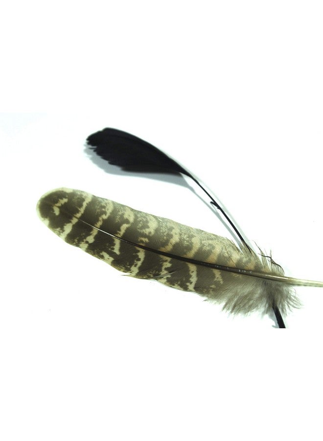 All In One 7 Gram Mixed Styles Assorted Mixed Feathers For Diy Craft (More Than 10 Styles) - Image 3