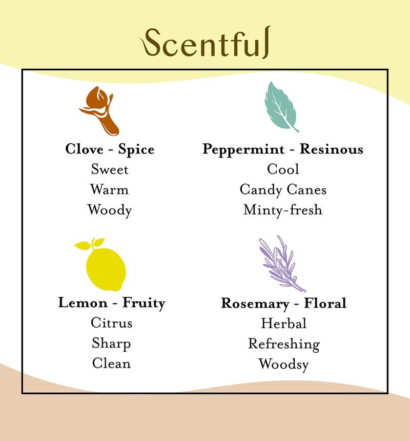 Scentful Smell Training Kit, Smell Retraining Therapy, Restore Sense of Smell and Taste, Made in The USA with 4 Organic Essential Oils - Image 3