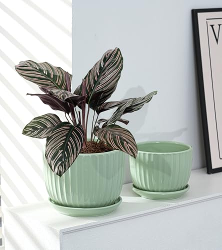 Ton Sin Flower Pots, Light Green Ceramic Plant Pots Set of 3,Small Glazed Succulent Pots with Drainage Hole,Cactus Planter with Saucer,Outdoor Garden Pots (Green) - Image 2