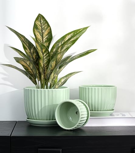 Ton Sin Flower Pots, Light Green Ceramic Plant Pots Set of 3,Small Glazed Succulent Pots with Drainage Hole,Cactus Planter with Saucer,Outdoor Garden Pots (Green) - Image 3