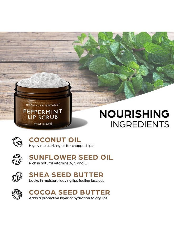 بروكلين بوتاني مقشر الشفاه، مرطب الشفاه 1 أونصة للشفاه الجافة والشفاه المتشققة، مقشر الشفاه اللطيف للحصول على شفاه ناعمة وأكثر إشراقًا بنكهة النعناع - Image 5