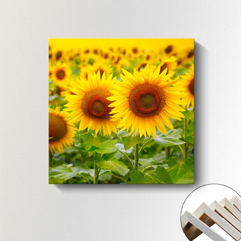 Modern Minimalist Living Room Decorative Painting Sunflower Flower Sunflower Korean Apartment B&B Square Inner Frame Frameless Painting - Image 1