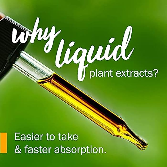 HERB PHARM مستخلص عشب فارم من نبات البوق لدعم النظام الغدد الصماء - 1 أونصة - Image 3