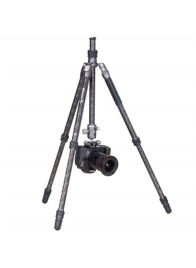 BENRO سلسلة راينو FRHN14C حامل ثلاثي من ألياف الكربون ورأس VX20 4 أقسام - Image 4