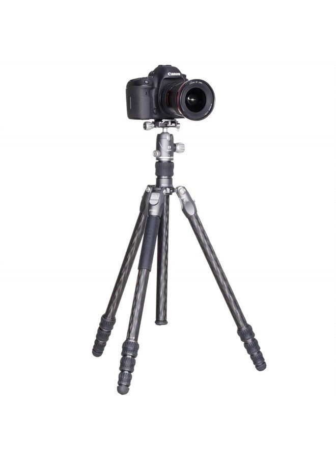 BENRO سلسلة راينو FRHN14C حامل ثلاثي من ألياف الكربون ورأس VX20 4 أقسام - Image 2