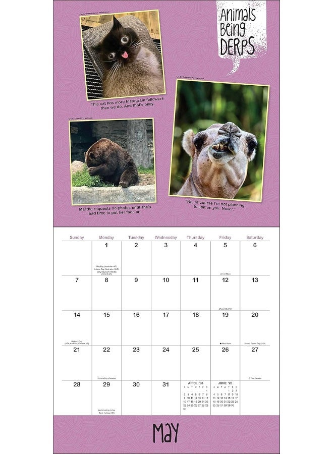 Animals Being Derps 2023 Wall Calendar: The Internet's Funniest Animals at Their Goofiest - Image 4