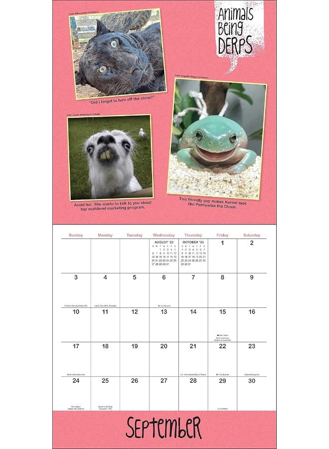 Animals Being Derps 2023 Wall Calendar: The Internet's Funniest Animals at Their Goofiest - Image 5