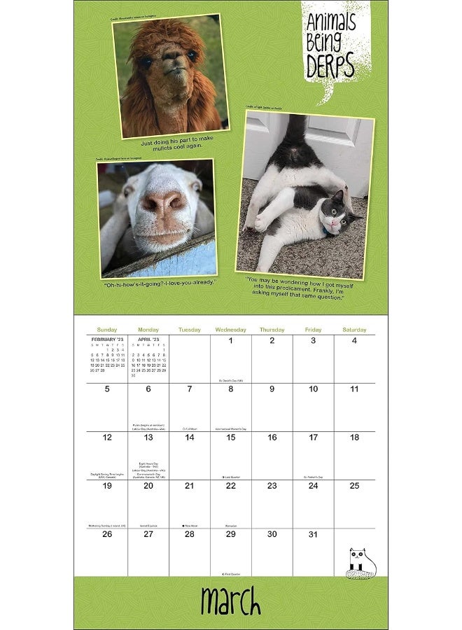 Animals Being Derps 2023 Wall Calendar: The Internet's Funniest Animals at Their Goofiest - Image 3