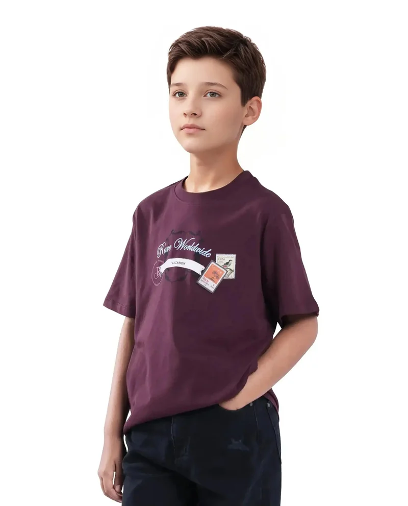 Rare Ones Rare Ones Kids Marn Maroon Cotton Blend Half Sleeve Slip-On Printed Regular Fit T-Shirt