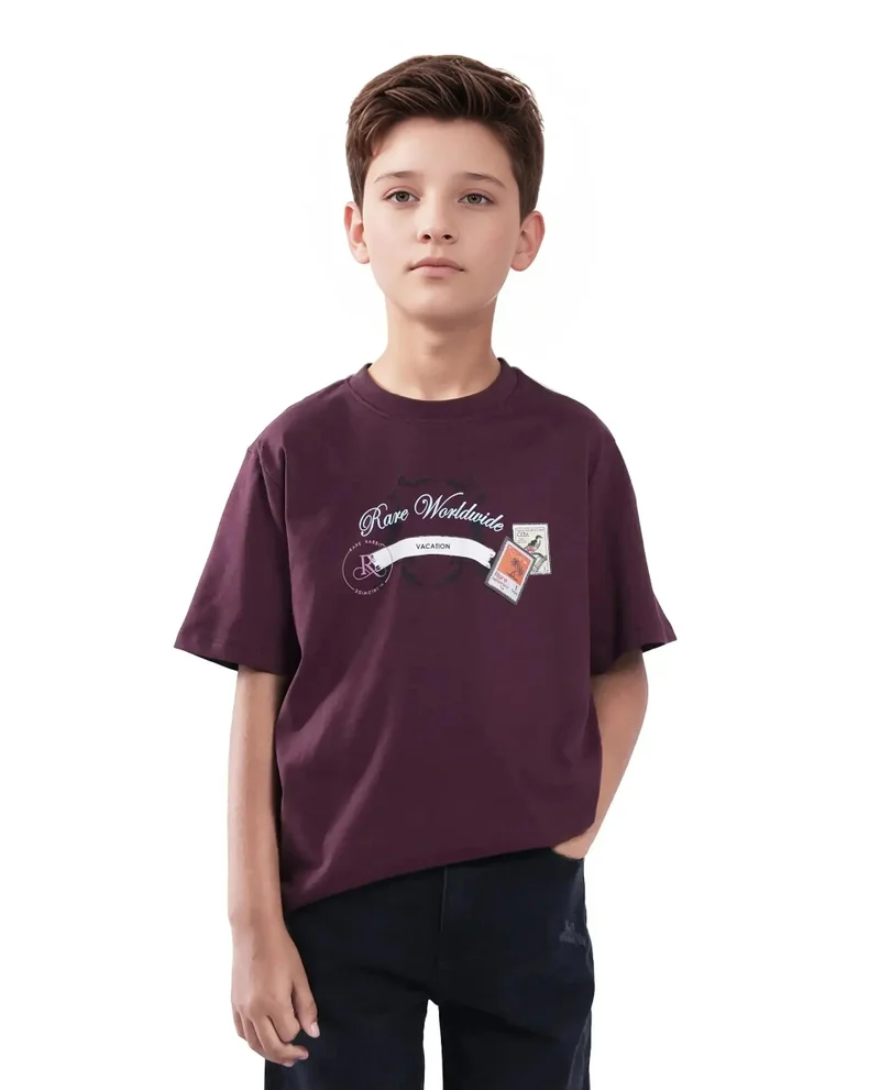 Rare Ones Rare Ones Kids Marn Maroon Cotton Blend Half Sleeve Slip-On Printed Regular Fit T-Shirt