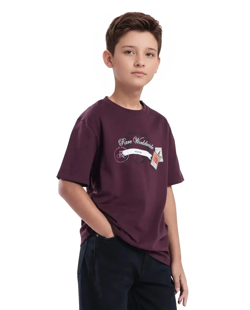 Rare Ones Rare Ones Kids Marn Maroon Cotton Blend Half Sleeve Slip-On Printed Regular Fit T-Shirt