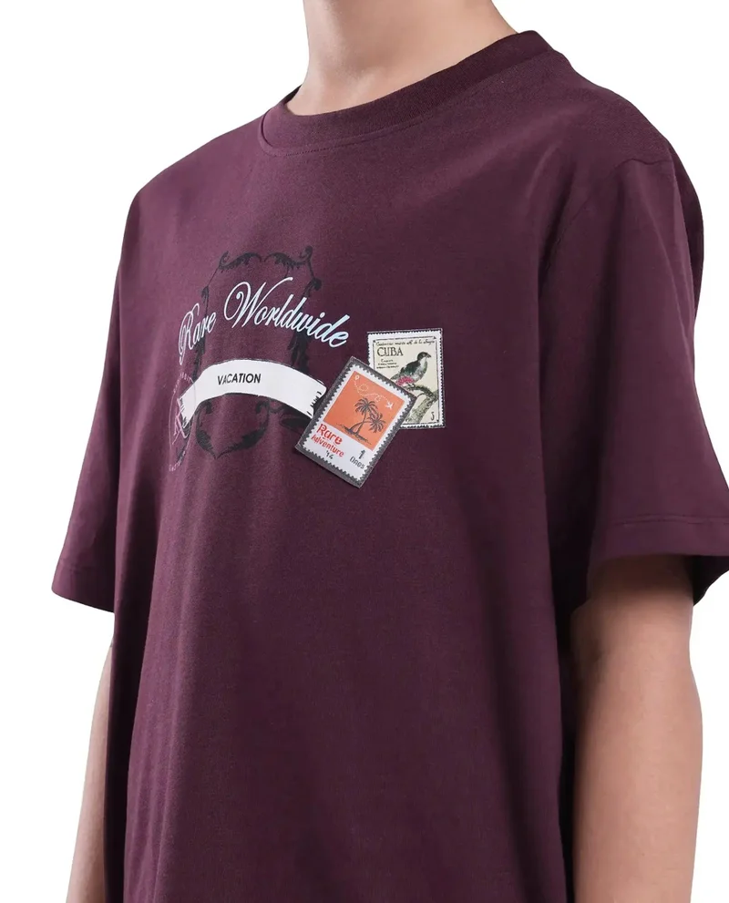 Rare Ones Rare Ones Kids Marn Maroon Cotton Blend Half Sleeve Slip-On Printed Regular Fit T-Shirt