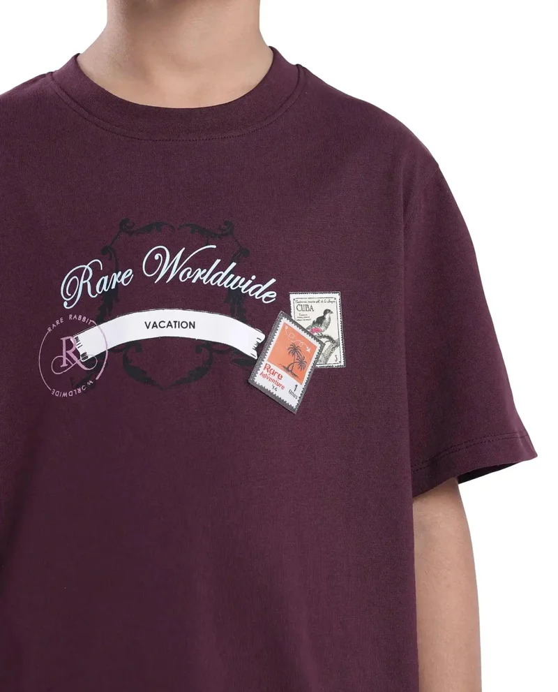 Rare Ones Rare Ones Kids Marn Maroon Cotton Blend Half Sleeve Slip-On Printed Regular Fit T-Shirt