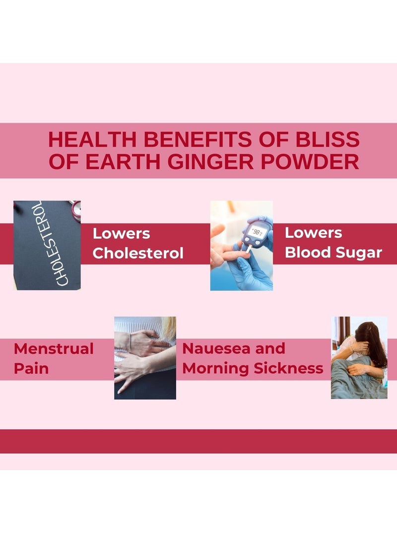 BLISS OF EARTH Certified Organic Dried Ginger Adrak Powder for Ginger Tea Ginger Paste Ginger Bread Antioxidant Superfood 100GM  - Image 4