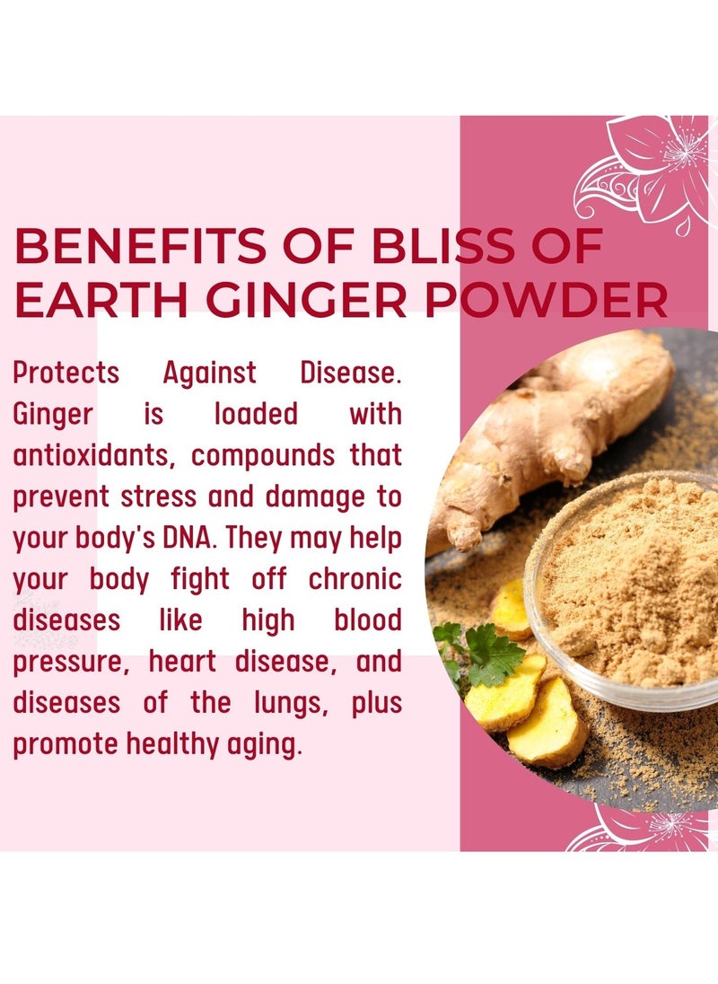 BLISS OF EARTH Certified Organic Dried Ginger Adrak Powder for Ginger Tea Ginger Paste Ginger Bread Antioxidant Superfood 100GM  - Image 3