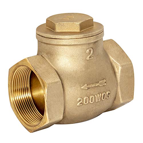 Eastman Brass Swing Check Valve, 2 Inch IPS, Brass Plumbing Fitting, 20431LF - Image 1