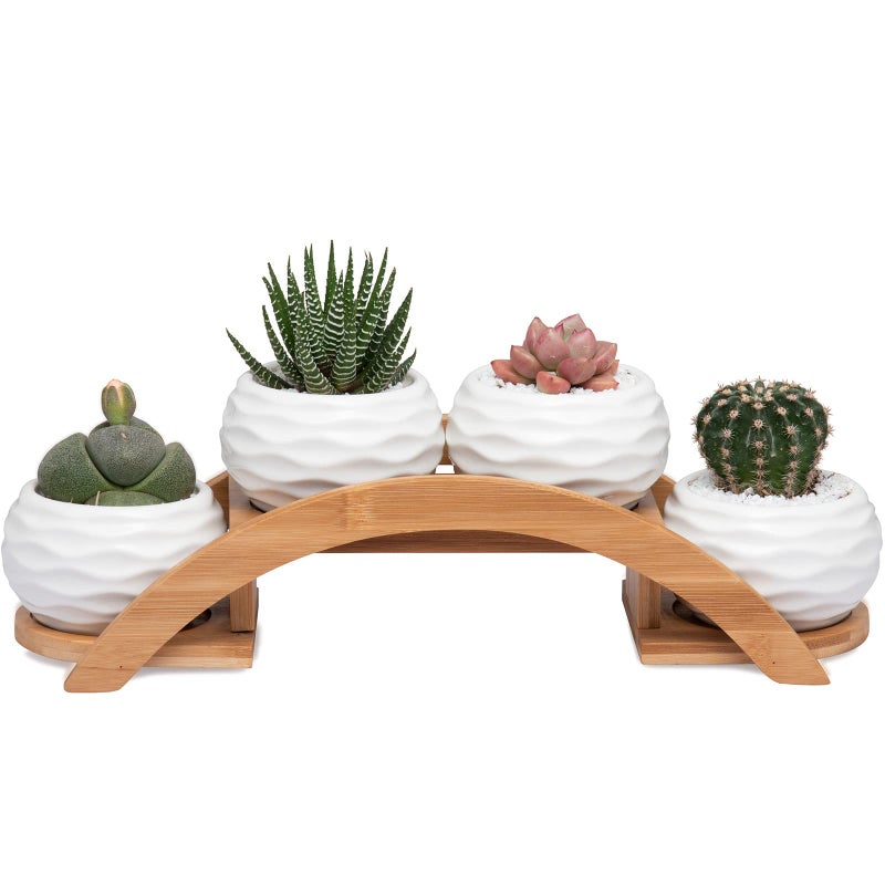 Eliu Succulent Pots and Stand Set Ceramic White Succulent Planter Pot with Drainage Pack of 4 Cute Office Garden Indoor Decoration Plants Not Included