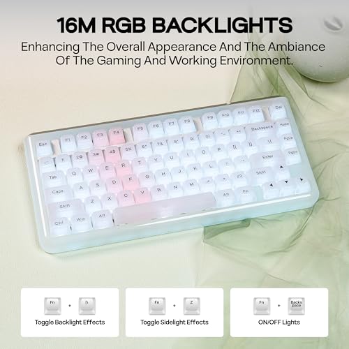 KiiBoom Jade75 75% Resin Molding Mechanical Keyboard, BT5.0/USB-C/2.4GHz Wireless Gaming Keyboard, QMK&VIA Programmable, RGB Backlits, Hot-Swappable, CNC+UV Case for Windows/Mac/Linux (Clear) - Image 4