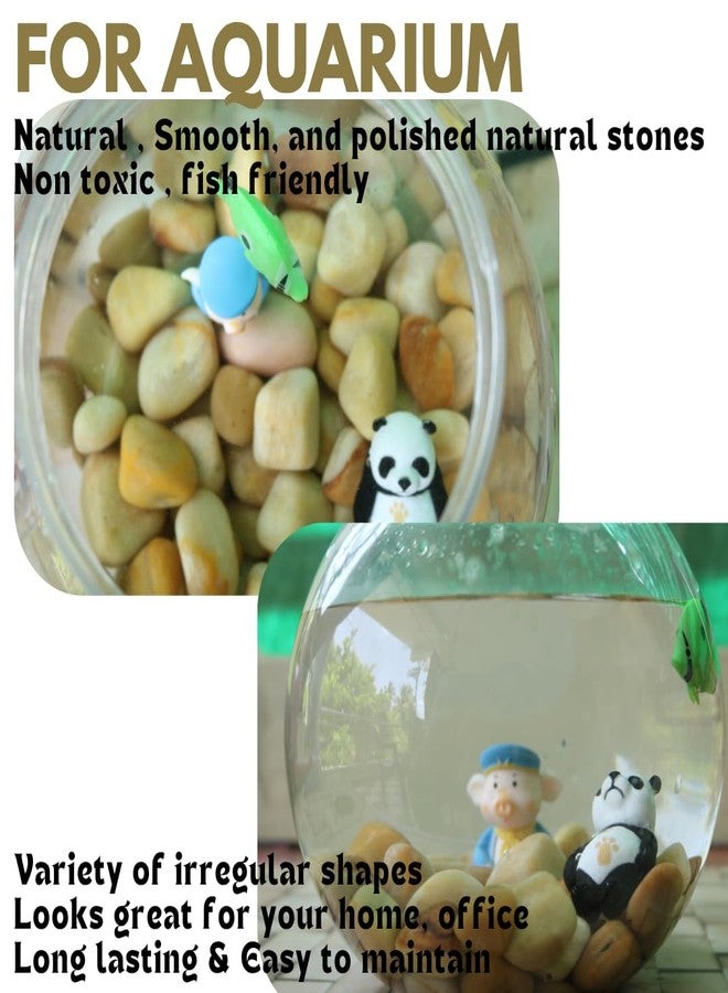 Wowtag Brown Pebbles Polished, 975 Grams, 3-5 cm, Smooth and Round River Stones, Decorative Pebbles, Plants pots,Fishtank, Color Pebbles - Image 3