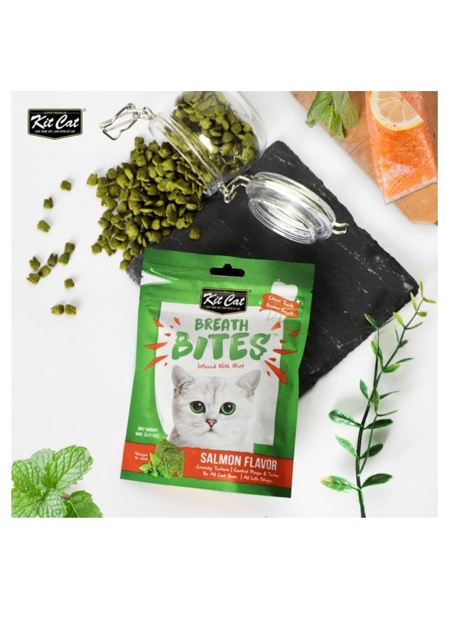 كيت كات حلوى القطط بنكهة السلمون والنعناع من بريث بايتس 60 جرام - Image 2
