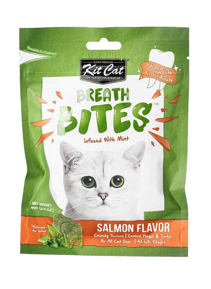 كيت كات حلوى القطط بنكهة السلمون والنعناع من بريث بايتس 60 جرام - Image 1