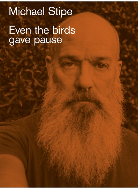 Michael Stipe: Even the birds gave pause