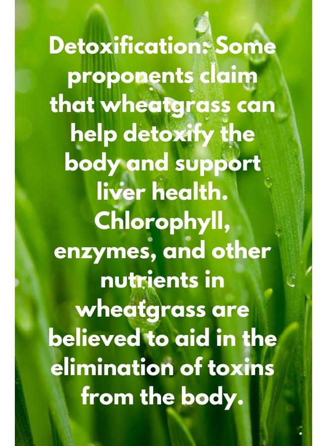 Sorland's مسحوق عشبة القمح العضوي النقي -75 جرام، غذاء طبيعي فائق الجودة - Image 2