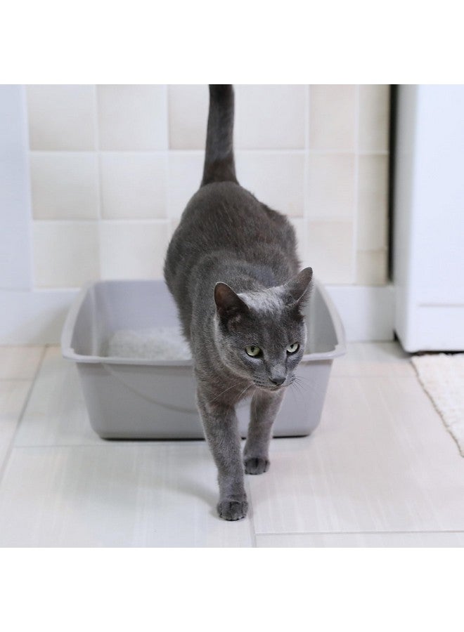 Petmate Open Cat Litter Box; Large Nonstick Litter Pan Durable Standard Box, Grey Great for Small & Large Cats Easy to Clean; Made in USA - Image 2