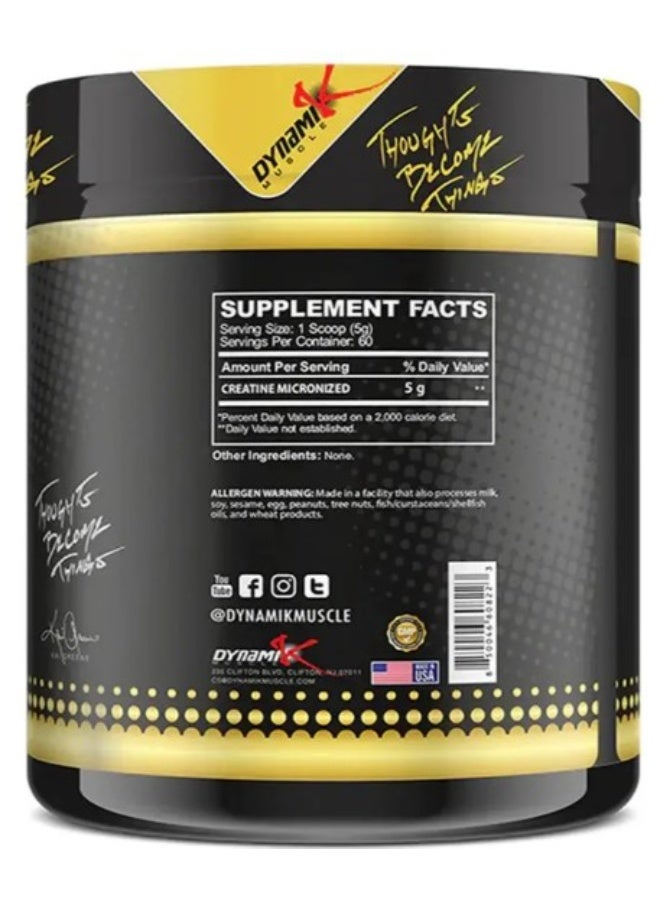DYNAMIK MUSCLE DYNAMIK - CREATINE 300GM GOLD SERIES - Image 2