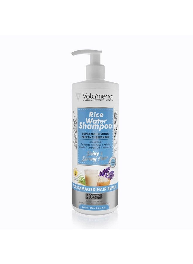 VOLAMENA WITH DEVICE Rice Water Shampoo With Fermented Rice Water & Lavender Essential Oil 250 Ml - Image 2