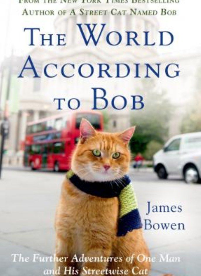 WORLD ACCORDING TO BOB