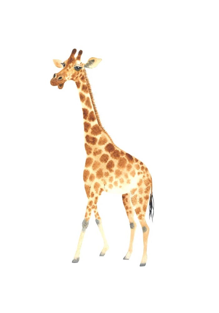 Zaiphany Large Giraffe Wall Decals Peel and Stick, Watercolor Giraffe Wall Sticker for Nursery Baby Room Decor - Image 1