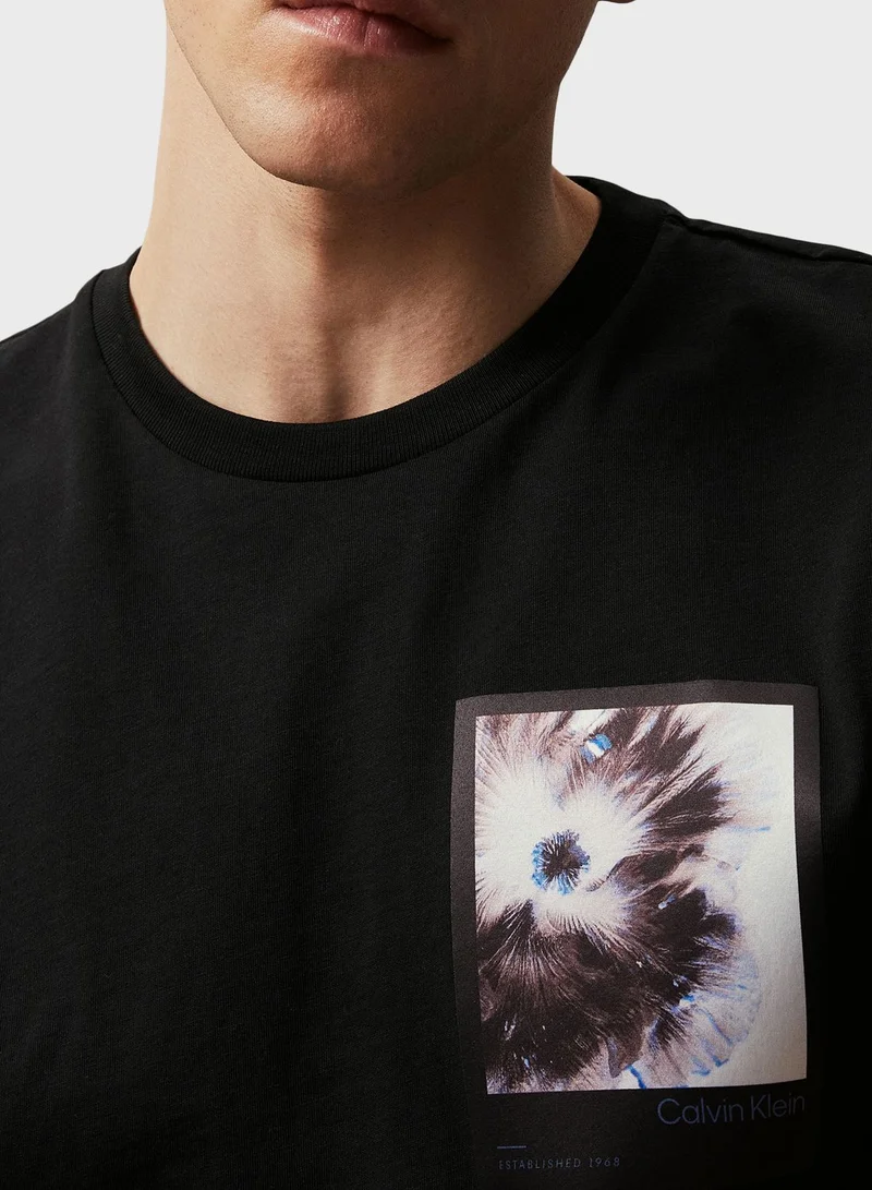CALVIN KLEIN Graphic Crew Neck T-Shirt