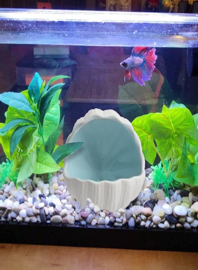 Saim Aquarium Shell Shape Ceramic Fish Tank Cave Decoration, Fish House for Betta Fish Passing or Hiding Safely, Betta Fish Tank 5.1inch (Blue, M) - Image 5