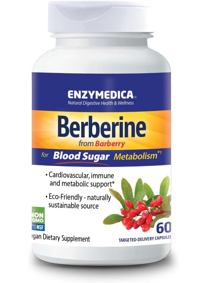 Enzymedica Berberine from Barberry for Blood Sugar Metabolism - Image 1