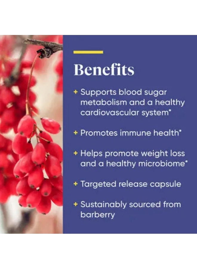 Enzymedica Berberine from Barberry for Blood Sugar Metabolism - Image 3