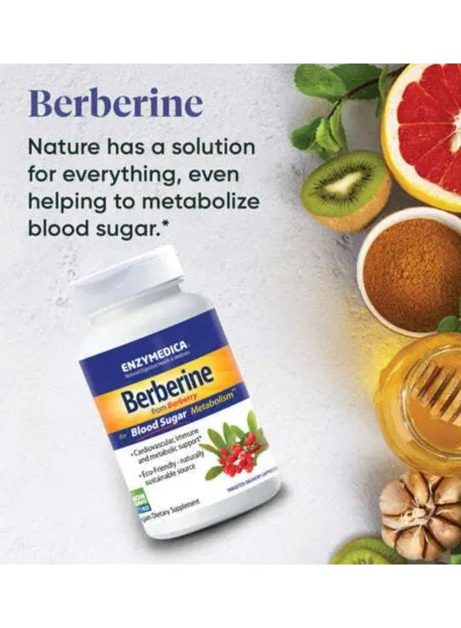 Enzymedica Berberine from Barberry for Blood Sugar Metabolism - Image 5