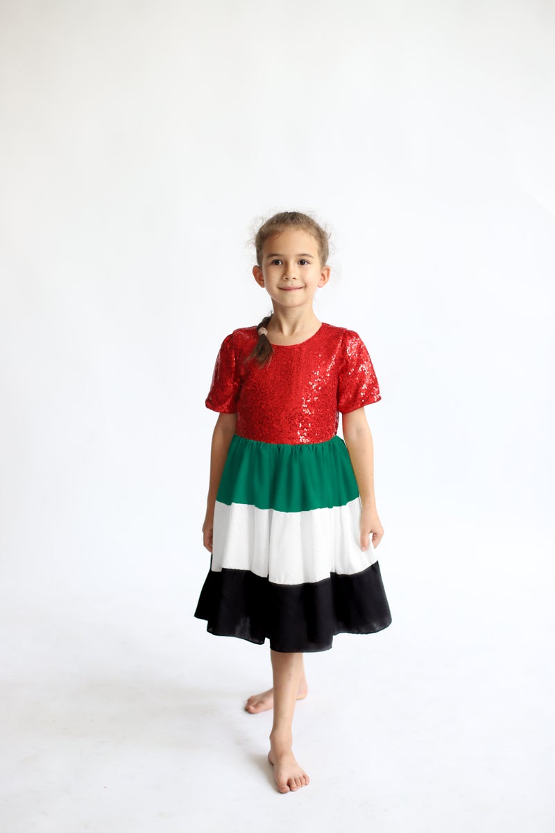 D'Daniela Flag UAE National Day Sequins Dress - Image 1