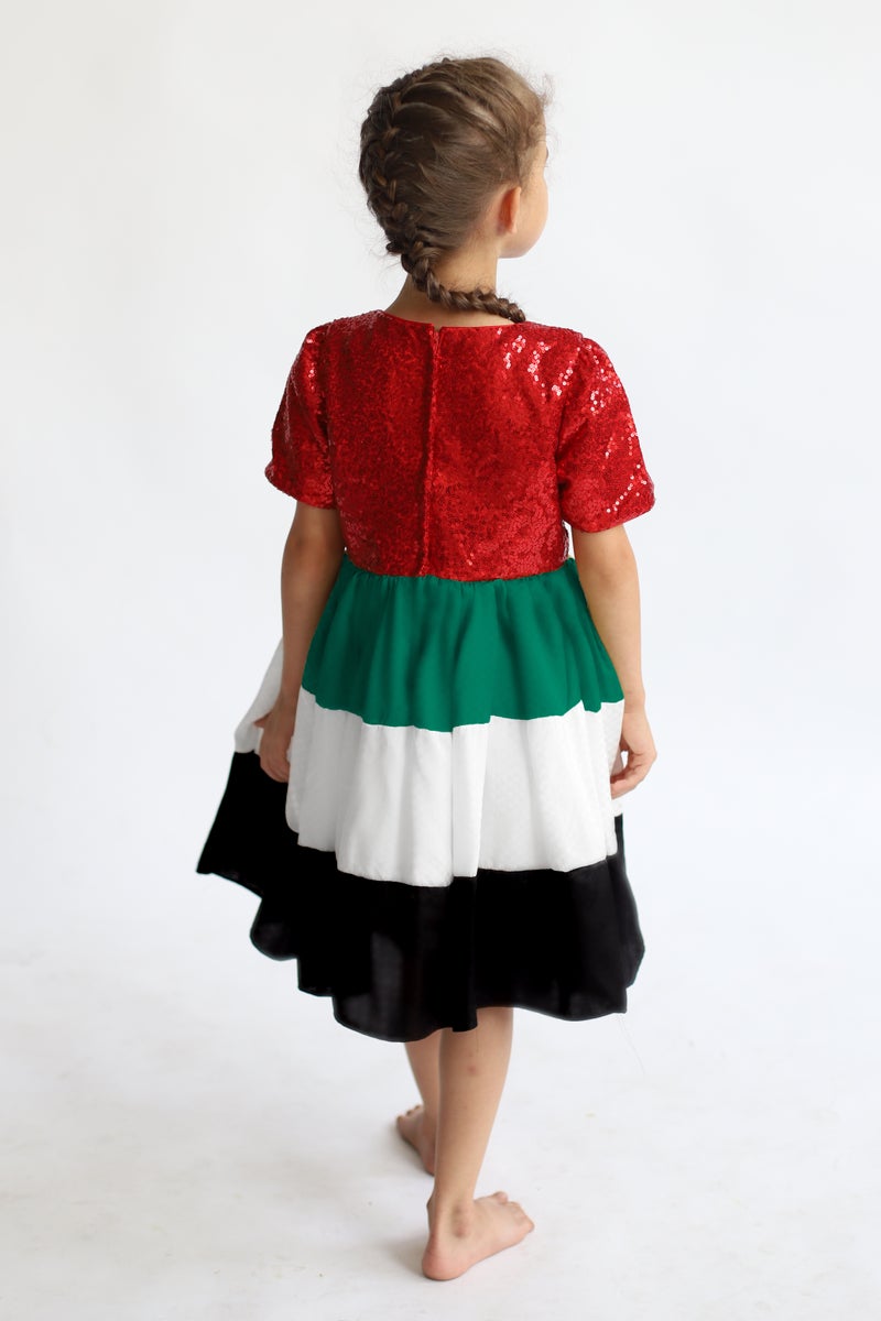 D'Daniela Flag UAE National Day Sequins Dress - Image 3