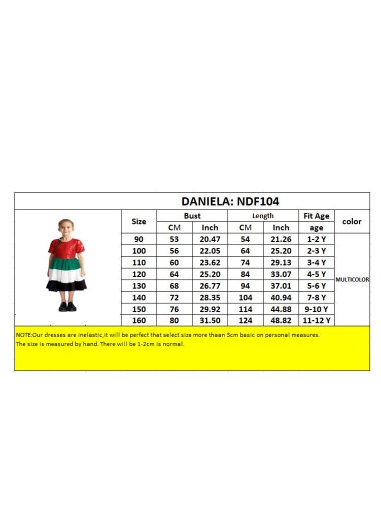 D'Daniela Flag UAE National Day Sequins Dress - Image 4