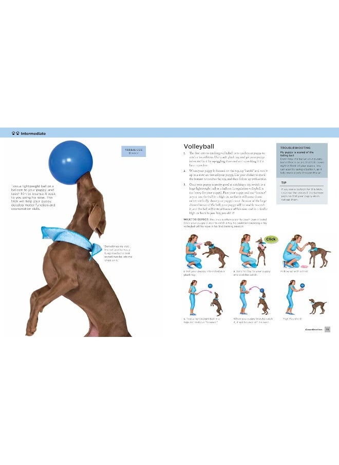 null - Super Simple Puppy Tricks and Training: Fun and Easy Step-by-Step Activities to Engage, Ch - Image 1